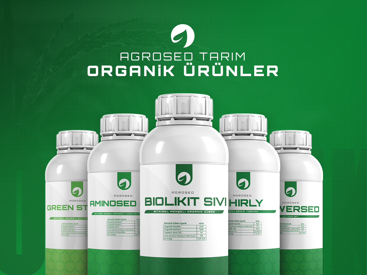 Organik